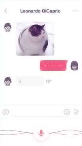 ddos测压网站软件程序维护界面